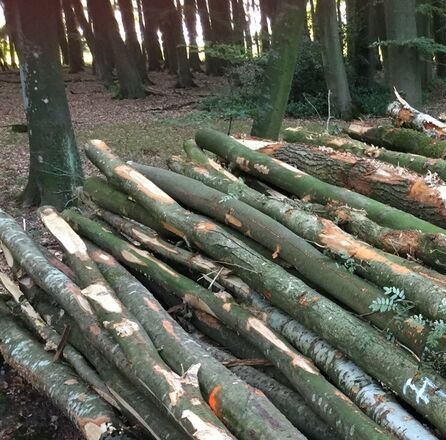 Roestig violist Bedelen Ontdek de voordelen van brandhout kopen, vlakbij Antwerpen
